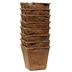 Biodegradable Square Pots